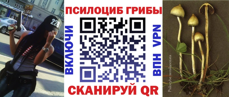 Галлюциногенные грибы GOLDEN TEACHER  Купить  Балтийск 